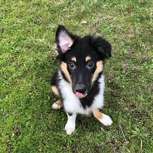 Meet your Posher, Megan